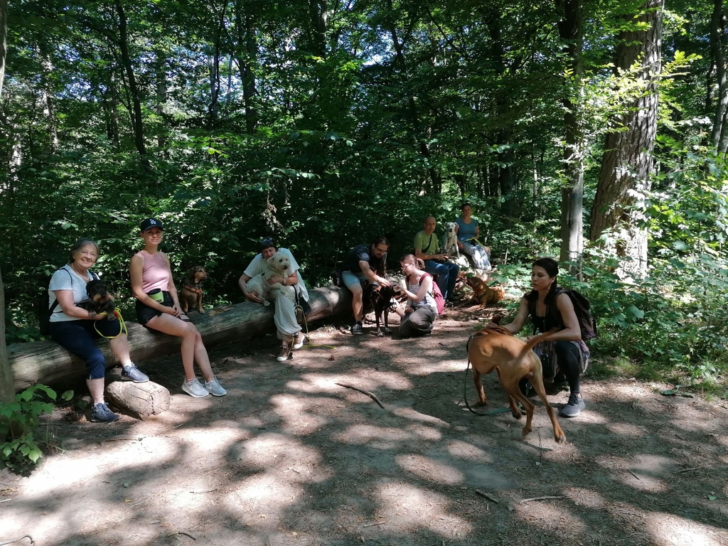 [Samstag 9 Uhr] Social walk