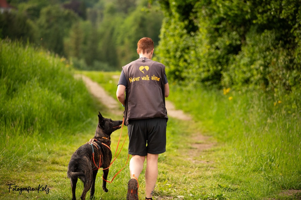 Spaziergang mit deinem Hund